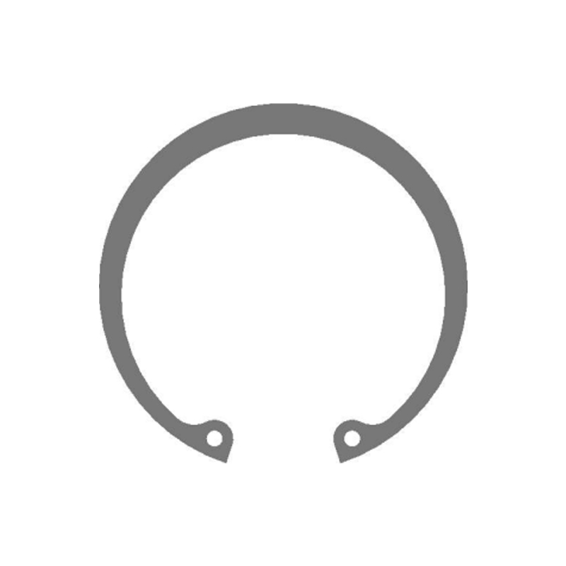 Circlips internos